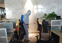 如何有效滅除四害，保護家庭健康